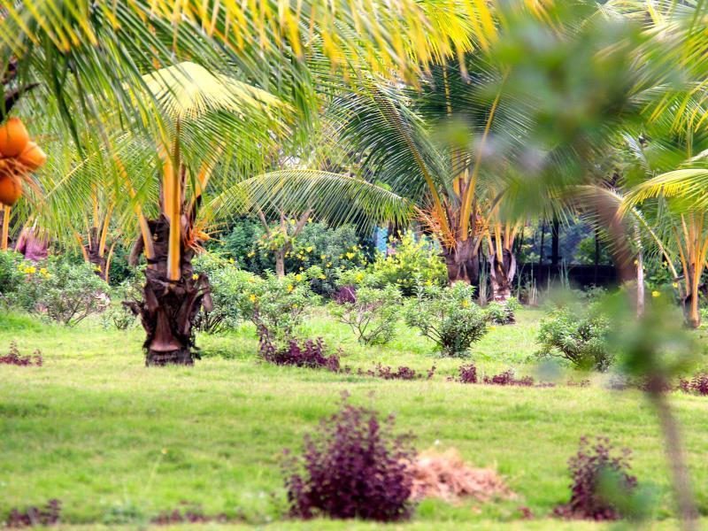 Okura Island Resort And Spa Kadalur Экстерьер фото